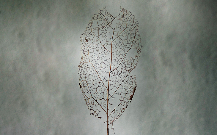 Natural Structure